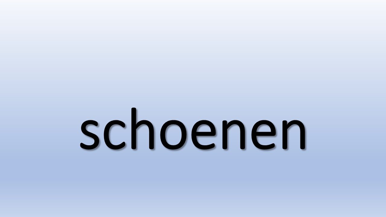 Schoenen